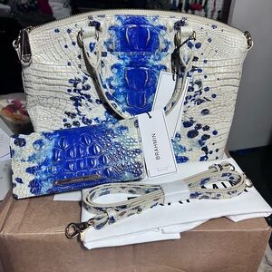 Brahmin Medium Echo Ombre Melbourne Handbag with matching Wallet